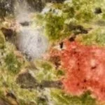 יוניקייט (Unakite)