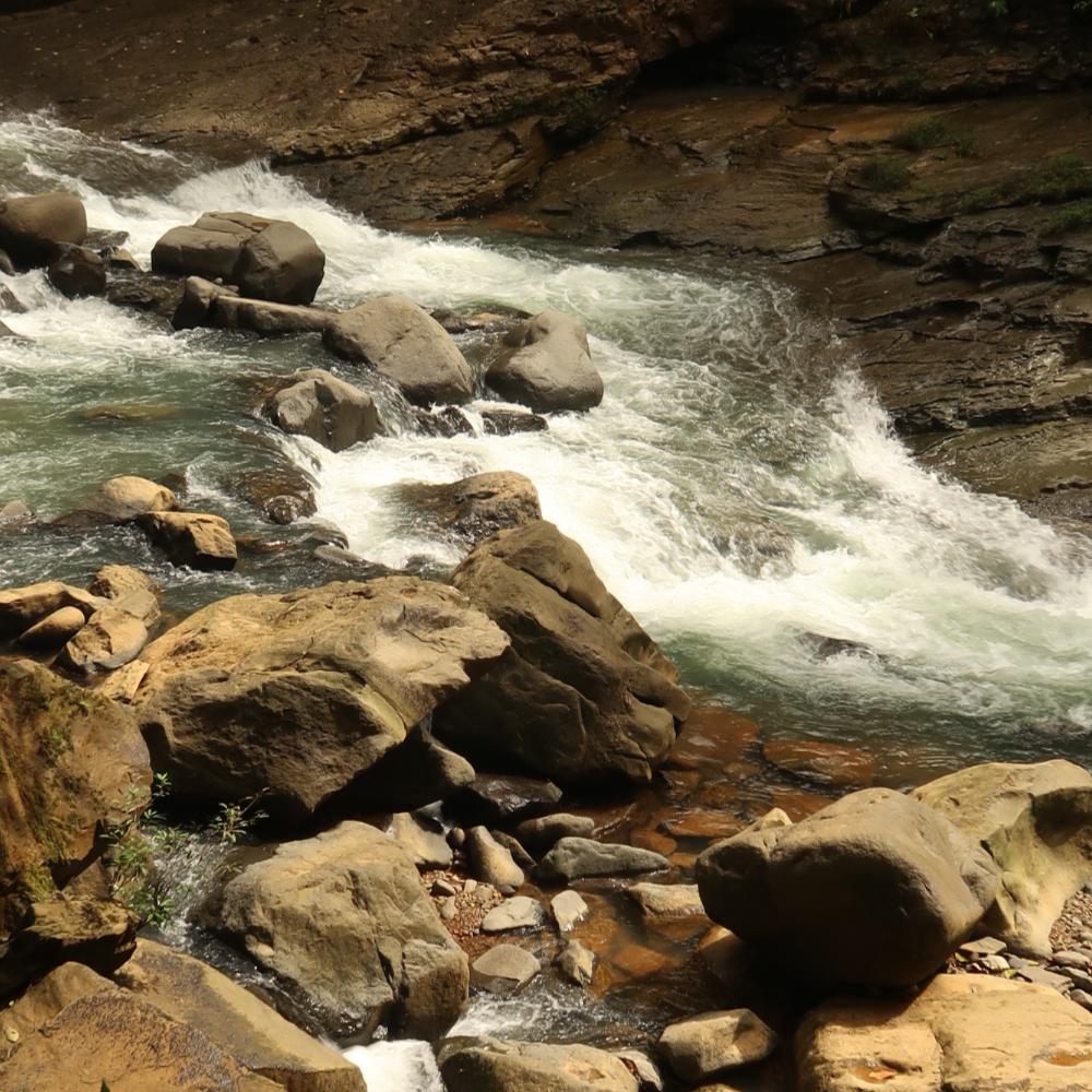 מים חיים, מים מובנים, החייאת מים, אבני חן להחייאת מים, אבני חן לטיהור מים, אבני חן למים חייםְ